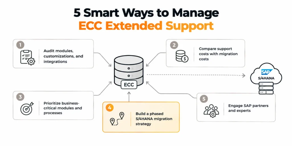 5 Smart Ways to Handle SAP ECC Extended Support Deadlines & Costs