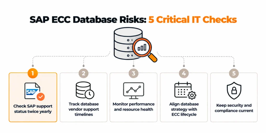 Critical Tips Every IT Team Needs on SAP ECC Supported Databases