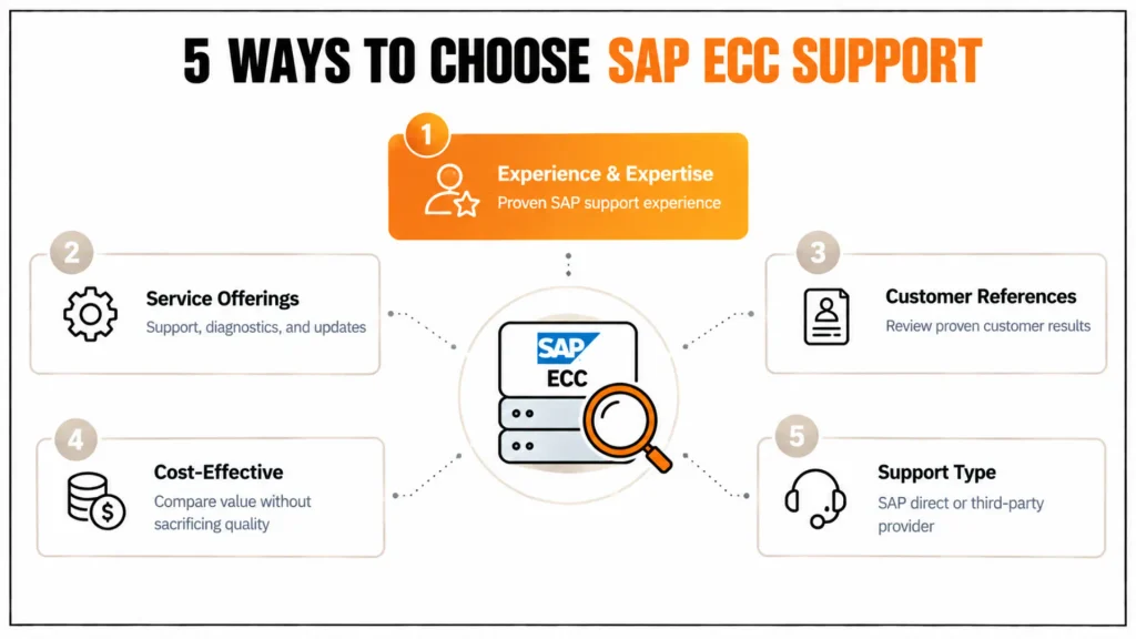 SAP ECC Explained: How to Get the Best Support and Partner for Your Business