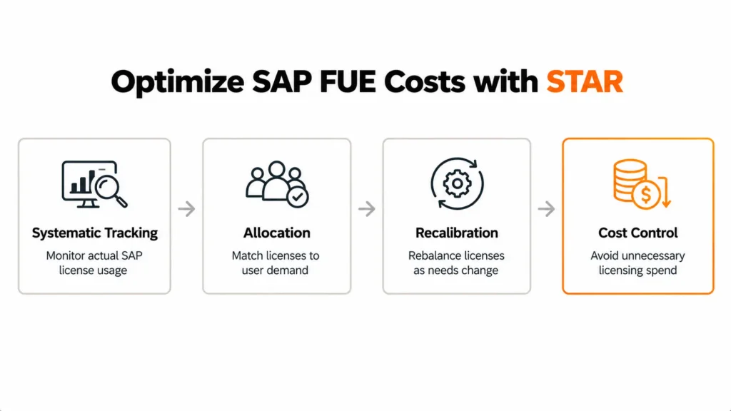 Smart Strategies to Optimize Your SAP FUE License Costs