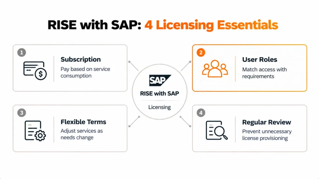 Understanding the RISE with SAP Licensing Model: Everything You Wanted to Ask But Didn’t