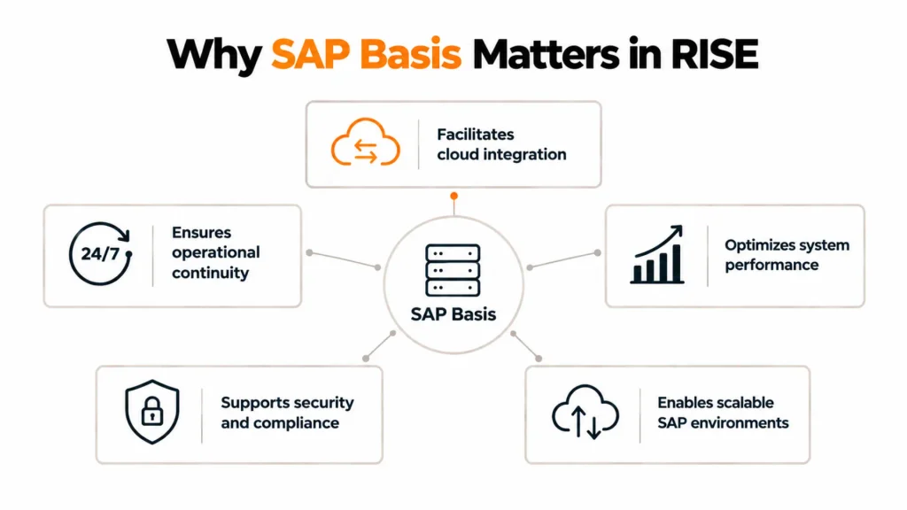 Why SAP Basis Still Matters More Than Ever in the RISE Era