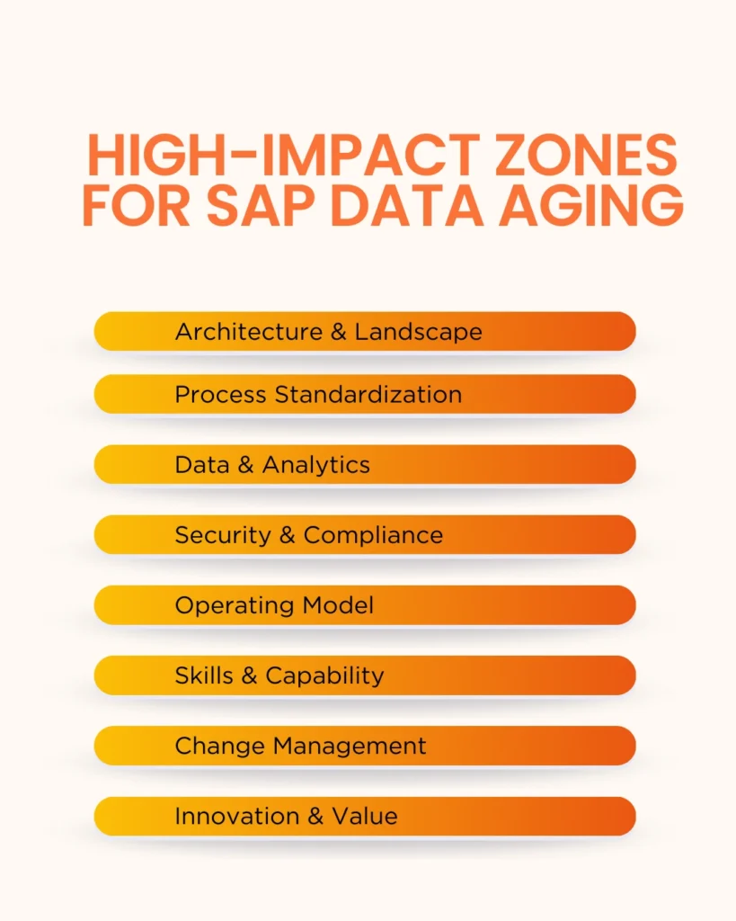 Infographic titled 'High-Impact Zones for SAP Data Aging' listing eight critical areas for strategic focus, including Architecture and Landscape, Process Standardization, Data and Analytics, Security and Compliance, Operating Model, Skills and Capability, Change Management, and Innovation and Value.
