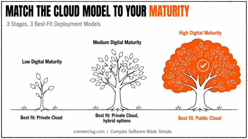Digital maturity model diagram