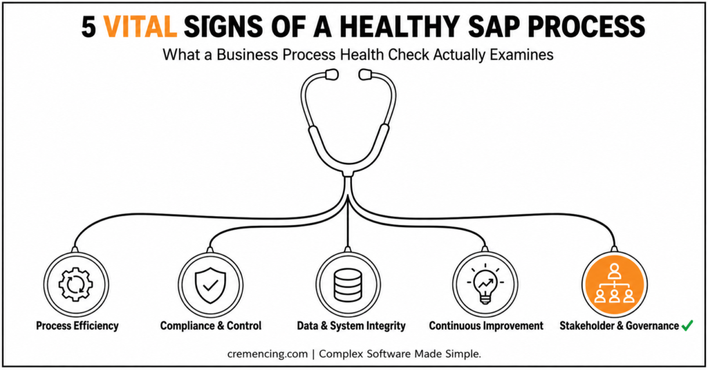 Five vital SAP process check components