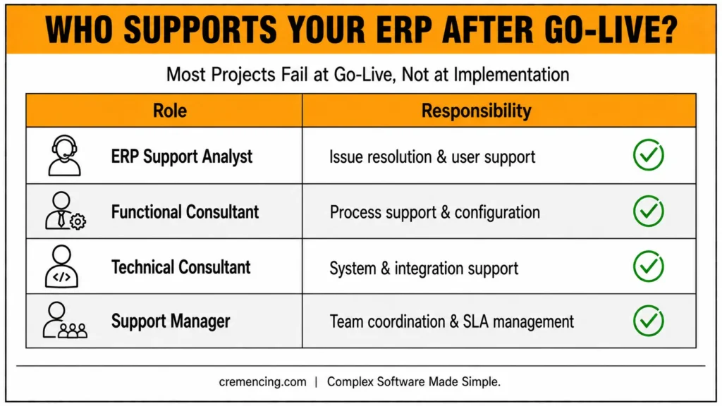**ERP support roles and responsibilities after go-live**