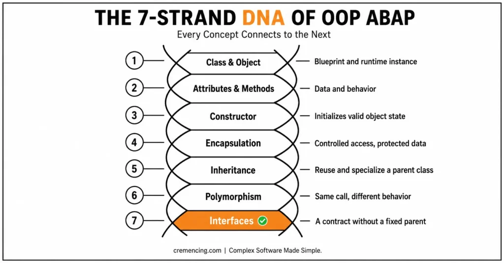Seven DNA strands of OOP ABAP