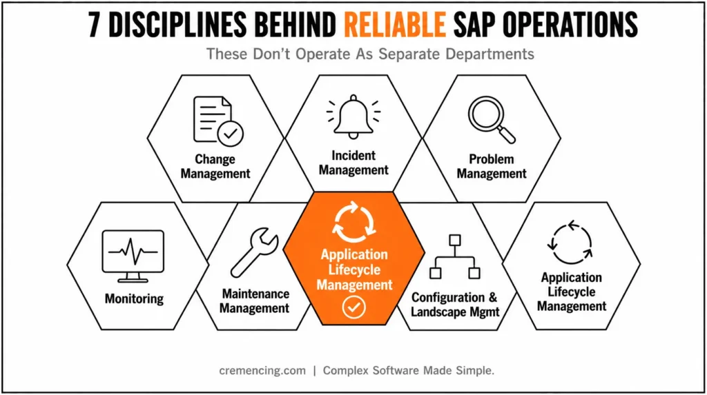 Honeycomb grid linking SAP operational disciplines.