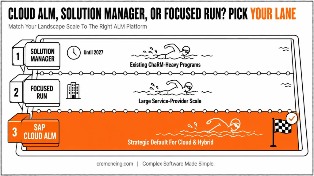 Swimming pool diagram comparing SAP ALM platforms.